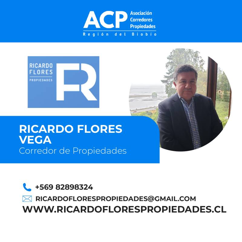 Ricardo Flores Propiedades